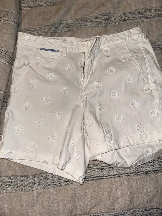 Anthropologie White Embroidered Circle-Pattern Flat Front Shorts - Picture 3 of 6